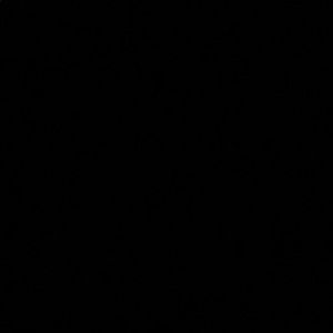 Meet your Posher, Bob